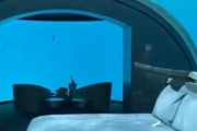 【動画】一泊500万円もする海中ホテルｗｗｗｗｗｗ
