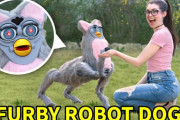 DIYで魔改造。ファービーと犬型ロボットをキメラ化させて公園を散歩