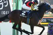 【毎日杯】1番人気12着キングズレインとはなんだったのか
