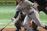 阪神・坂本“変身”猛打ショー　“守備の人”だけじゃない!3安打「必死に対応しようと思った結果」