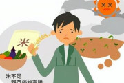 【2040年のコメ需要4割減…】生産者は65％減見通し「日本人が日本人でなくなり始めてることを意味してますよね」