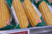 【店員さんｗｗｗ】スーパーで売られているトウモロコシがモロ過ぎるｗｗｗ