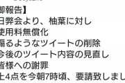 柚葉「お前らが誹謗中傷や名誉毀損するから「ゆっくり茶番劇」を抹消申請するわ」