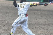 阪神・ロハス　正念場…深刻１５打席連続ノーヒット　矢野監督「スタメンはない」/