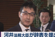 【速報】河井法務大臣、辞表提出 　後任は森雅子氏
