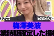 【乃木坂46】梅澤美波さんの卒業時期が確定している模様…