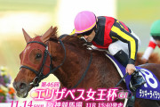 11/14(日) 第46回エリザベス女王杯(GI) part4