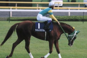 【前が良いに決まってる！】競馬では理論的に最強の脚質は逃げである←これ