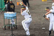 阪神・小谷野コーチ　フリー打撃改革敢行　「ただ数をこなすだけでは…」　打者交代を時間から球数に変更