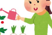 ワイ「自分で育てた野菜うめ〜」