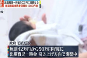 出産一時金50万円に増額、財源は75歳以上の負担増で確保…健康保険法改正案