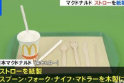 【画像】マクドナルドさん、全店で紙製ストローに移行へｗｗ
