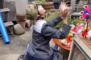 【衝撃】齋藤飛鳥、５歳・・・・・！！！？