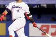 ヤクルト・バレンティン(35)が結局また30本塁打達成しそうな件について