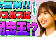 【日向坂46】『ひなたアカデミー』最終回を目前にして面白くなりすぎるｗｗｗｗｗｗ