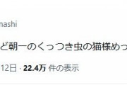 【速報】巨人高梨「くっつき虫の猫様めっちゃかわいいよね」とツイートWWWWWWWWWWWWWWWWWWWWWWWWWWWWWWWWWWWWWWWWWWWWWWWWWWWWWWWWWWWWWWWWWWWWWWWWWWWWWWWWWWWW