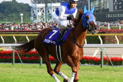 【馬は全く悪くない】なんでダイワスカーレットって競馬ファンから評価低いの？