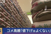 【悲報】放出された備蓄米、小売店にまで渡ったのはたった0.3％と判明