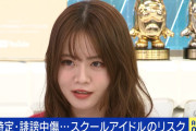 “学校公認アイドル”に元SKE48柴田阿弥、元乃木坂46山崎怜奈が私見「学校がガバナンスと安全配慮を」＜ABEMA Prime＞