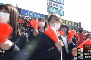 【画像】甲子園で、美人が映り込む