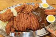 【もりもり】ゴーゴーカレー美味すぎワロタwwwwwwww（画像あり）
