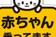 運転手「あ！前の車に赤ちゃん乗ってますステッカー！ぶつけないように気をつけなきゃ！」