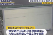 修学旅行中の中学生が美術館の芸術作品を破損　美術館が被害届提出 　新潟・十日町市