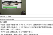フグの毒、ガチで難解