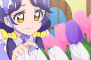 【トロピカル～ジュ!プリキュア】さんごちゃんロスが辛い・・・【トロプリ】