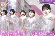櫻坂46顔面パイ選抜結成wwww