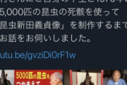 【画像】おっさん「昆虫の死骸5000匹を使って兜作ったw」ﾊﾟｼｬｯ