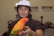 ダルビッシュさん、小鳥を飼う?