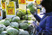 レタス58円 白菜138円…野菜安すぎ「利益出ない」と産地悲鳴、主婦笑顔！