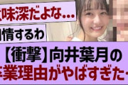 【衝撃】向井葉月の卒業理由がやばすぎた…【乃木坂46・乃木坂工事中・乃木坂配信中】