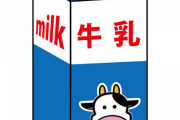 牛乳パックの長さ測ったら驚愕の事実見つけたったｗｗｗｗｗ