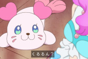 【トロピカル～ジュ!プリキュア】まさか、くるるんで話を締めるとは・・・【トロプリ】