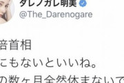 【朗報】ダレノガレ明美さん、ツイッターのクソリプにキンチョールを撒いてしまう
