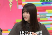 【櫻坂46】ほのれな可愛すぎて草