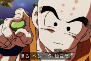 ドラゴンボールの「仙豆」という、体力を回復し大ケガをも治すチートアイテムｗｗｗｗ