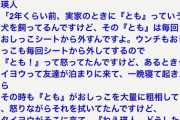 【悲報】「香水」を歌ってた人、無事に一発屋で終わる