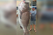 デカすぎる！米フロリダの釣り人さん、とんでもないサイズの巨大魚を釣り上げてしまう　研究者も驚き（画像あり）