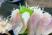なんで川魚のお刺身はあまり美味しくないの？