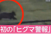 【北海道】「藪に引きずる」行動の意味は？専門家が語るヒグマの習性　新聞配達員襲われ死亡