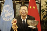 【悲報】中国人が国連安保理事会の政治調整局長に就任
