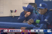 【悲報】中日ドラゴンズさん