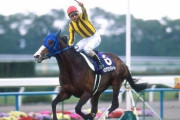 横山典弘のG1勝ちを語るスレ
