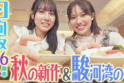 【日向坂46】二人ともいい食べっぷり！『しずおかごはんが食べたい！』を視聴したおひさまの感想がこちら