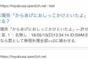 「橋本環奈 からあげ」で検索した結果wanawanawana