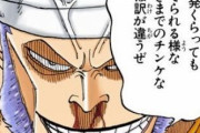 【ONEPIECE -ワンピース】ギン「ドンはなぁ・・・ドンクリークはこの海で最強の男なんだぞ！ドンッ」←はぁ？？？