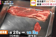 名古屋の給食、1食の牛肉量が28gから3gへ減らされる(´；ω；｀)